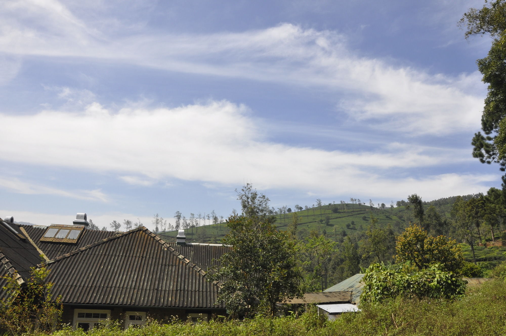 Scottish Planter Bungalow- Thema Collection Nuwara Eliya Bagian luar foto